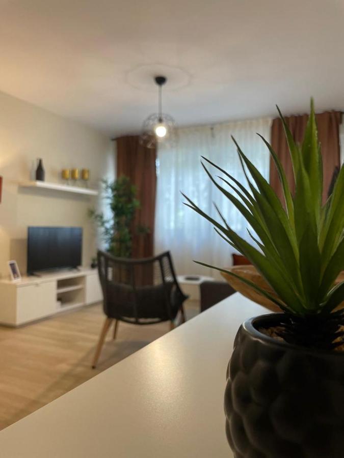 Apartamento Jerez 2022 Jerez de la Frontera Esterno foto